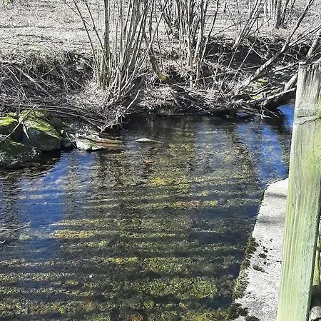 Aux Abords Du Ruisseau