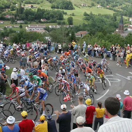 Aux Abords Du Ruisseau