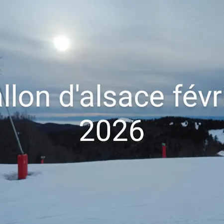 Aux Abords Du Ruisseau