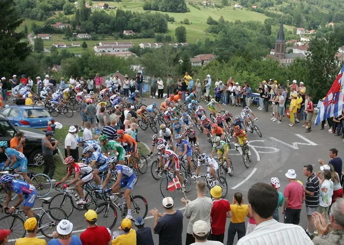 Aux Abords Du Ruisseau