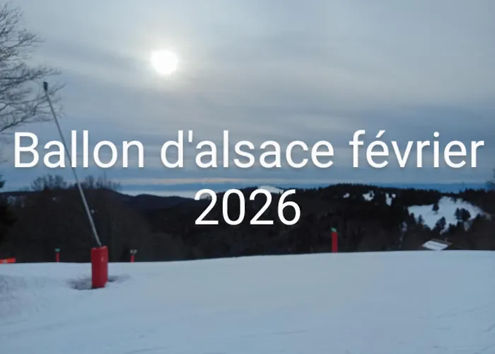 Aux Abords Du Ruisseau